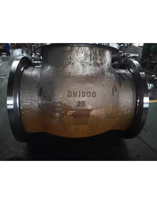 Large diameter check valve Large diameter check valve